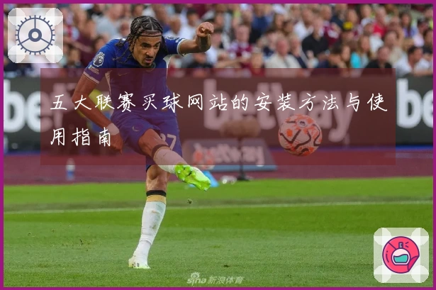 五大联赛买球网站的安装方法与使用指南