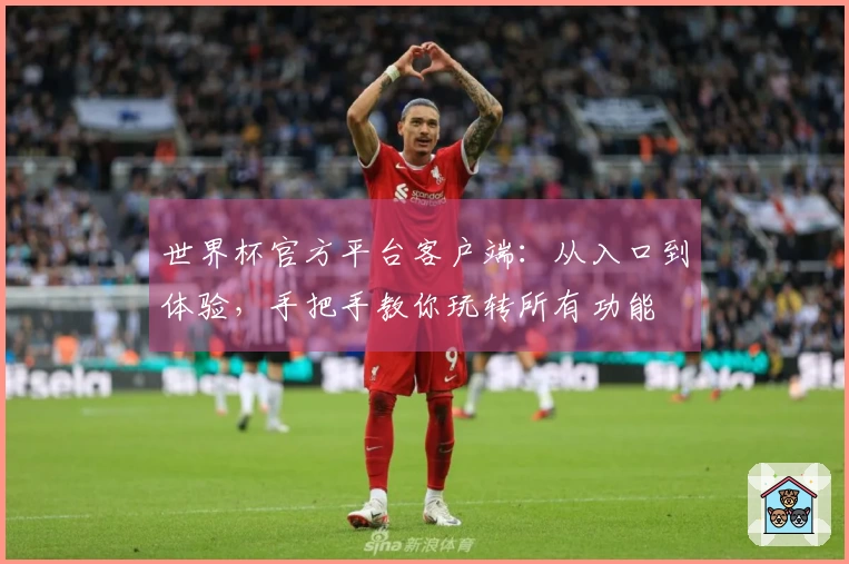 世界杯官方平台客户端：从入口到体验，手把手教你玩转所有功能