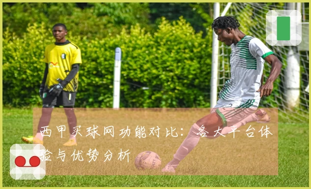 西甲买球网功能对比：各大平台体验与优势分析